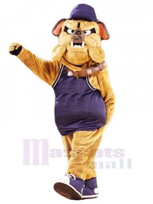 Chien costume de mascotte