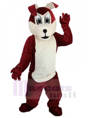 Chien costume de mascotte