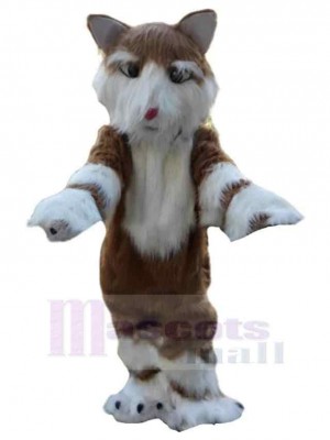 Chien costume de mascotte