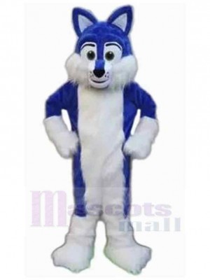Chien costume de mascotte