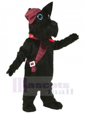 Chien costume de mascotte