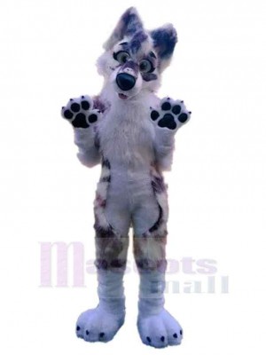 Chien costume de mascotte