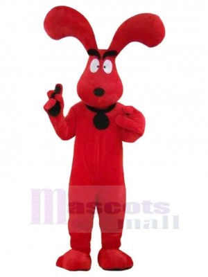 Chien costume de mascotte