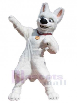 Chien costume de mascotte