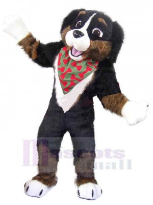 Chien costume de mascotte