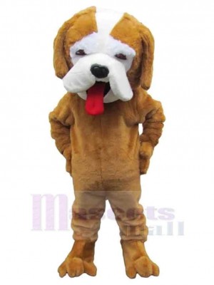 Chien costume de mascotte