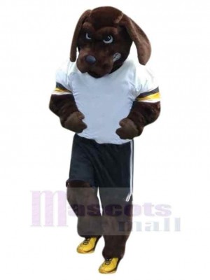 Chien de sport brun sérieux Costume de mascotte Animal