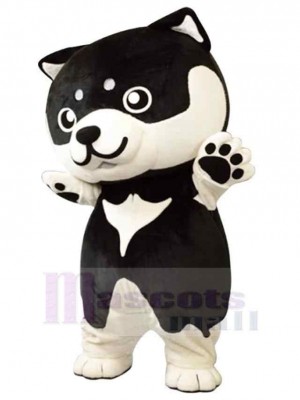 Chien costume de mascotte