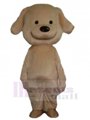 Chien costume de mascotte