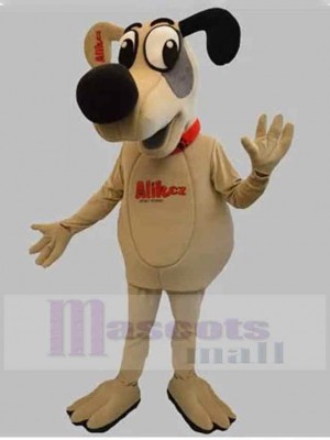 Chien costume de mascotte