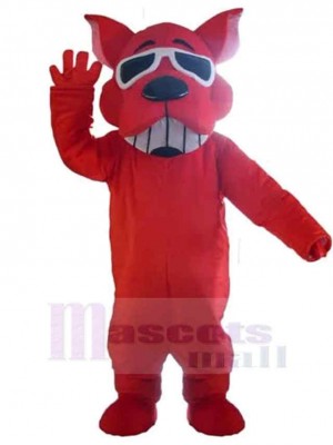 Chien costume de mascotte
