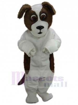 Chien costume de mascotte