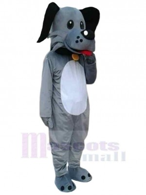 Chien costume de mascotte