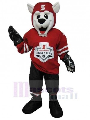 Chien costume de mascotte
