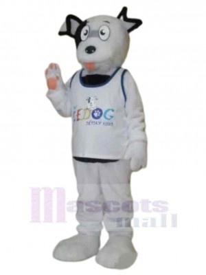 Chien costume de mascotte