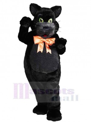 Noble chat noir Costume de mascotte Animal