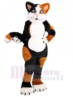 Chat costume de mascotte