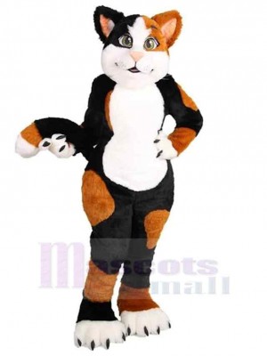 Beau chat brun et noir Costume de mascotte Animal