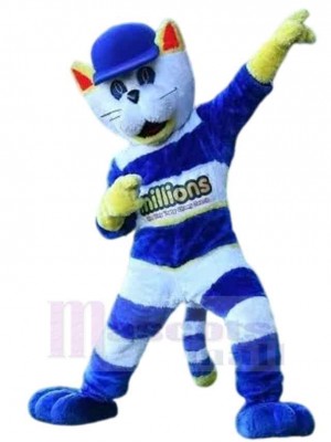 Cappie le chat Costume de mascotte Animal avec chapeau bleu