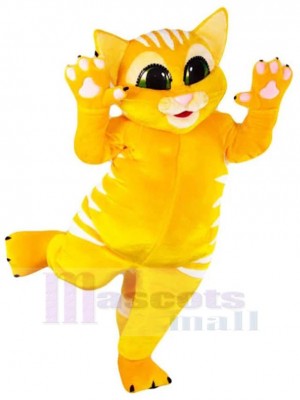 Chat jaune heureux Costume de mascotte Animal