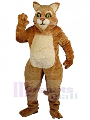 Chat costume de mascotte