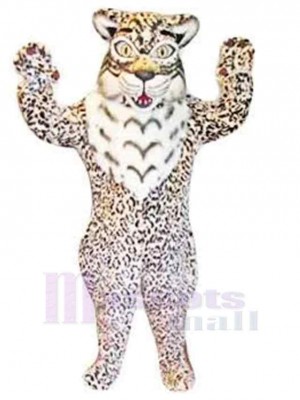 Chat costume de mascotte