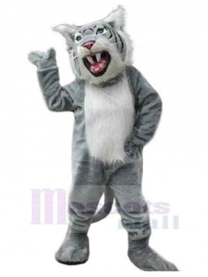 Chat costume de mascotte