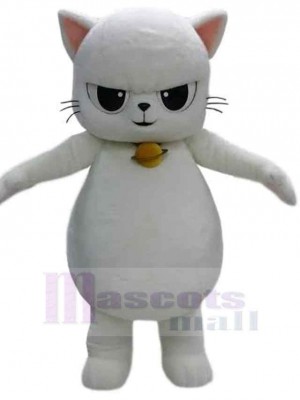 Chat costume de mascotte