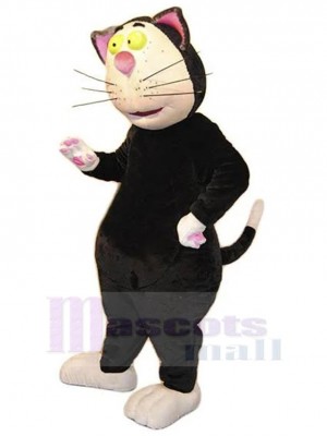 Chat costume de mascotte