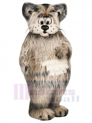Gros chat poilu Costume de mascotte Animal