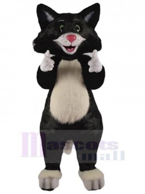 Chat noir heureux Costume de mascotte Animal