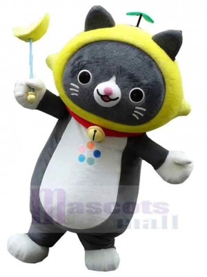 Petit chat gris mignon Costume de mascotte Animal