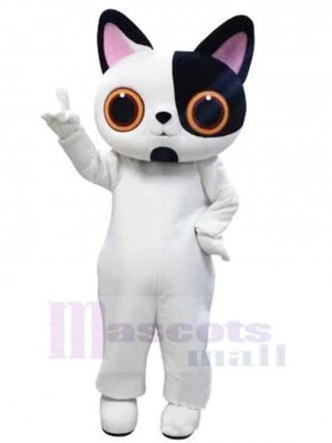 Joli chat noir et blanc Costume de mascotte Animal