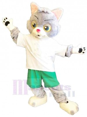 Chat gris et blanc Costume de mascotte Animal en pantalon vert