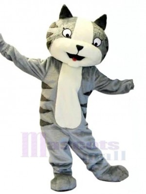 Chat costume de mascotte