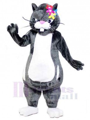 Katze maskottchen kostüm