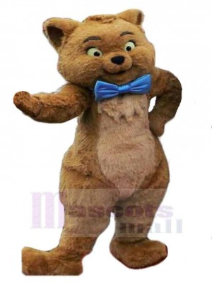 Chat costume de mascotte