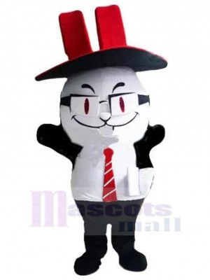 Chat costume de mascotte