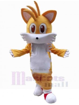 Chat costume de mascotte