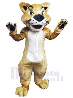 Chat costume de mascotte