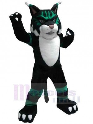 Chat costume de mascotte