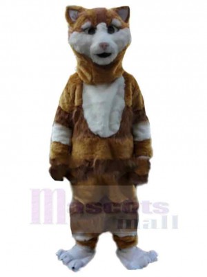 Chat brun et blanc confus Costume de mascotte Animal