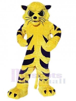 Chat costume de mascotte
