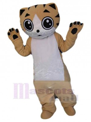 Chat chaton doré Costume de mascotte Animal