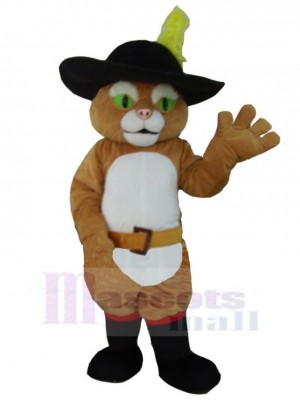 Chat costume de mascotte