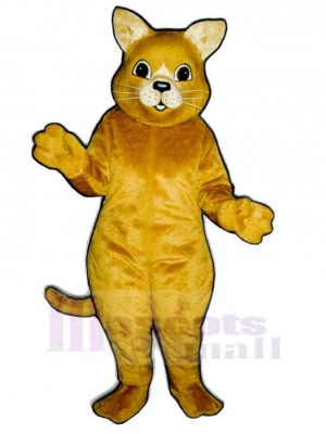 Chat costume de mascotte