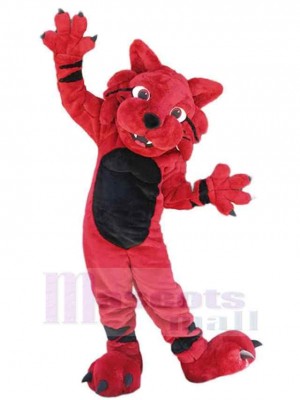 Chat costume de mascotte