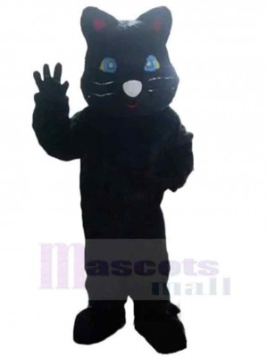 Chat noir Costume de mascotte Animal aux yeux bleus