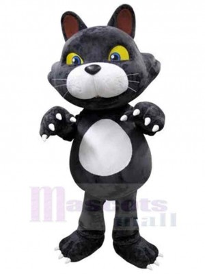 Chat costume de mascotte