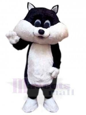 Joli noir et blanc Chaton Chat Costume de mascotte Animal